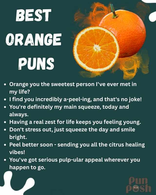 Best  Orange  Puns