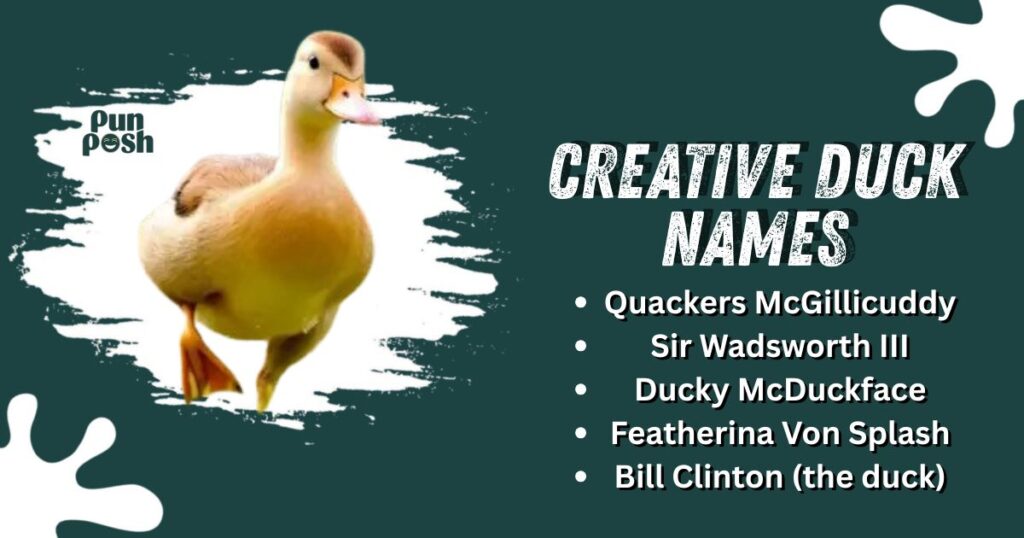 Creative Duck Names