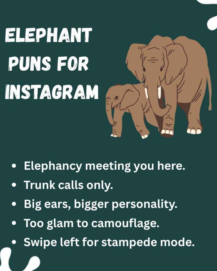 Elephant Puns for Instagram