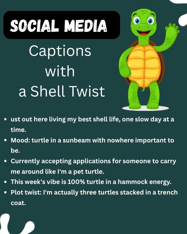 Social Media Captions with a Shell Twist